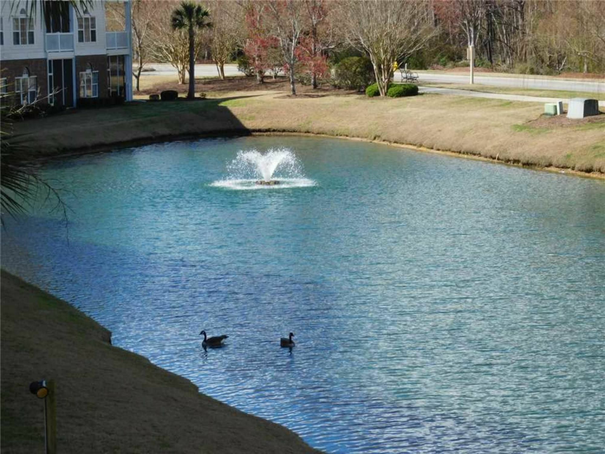 River Crossing Apartment Briarcliffe Acres Exterior photo